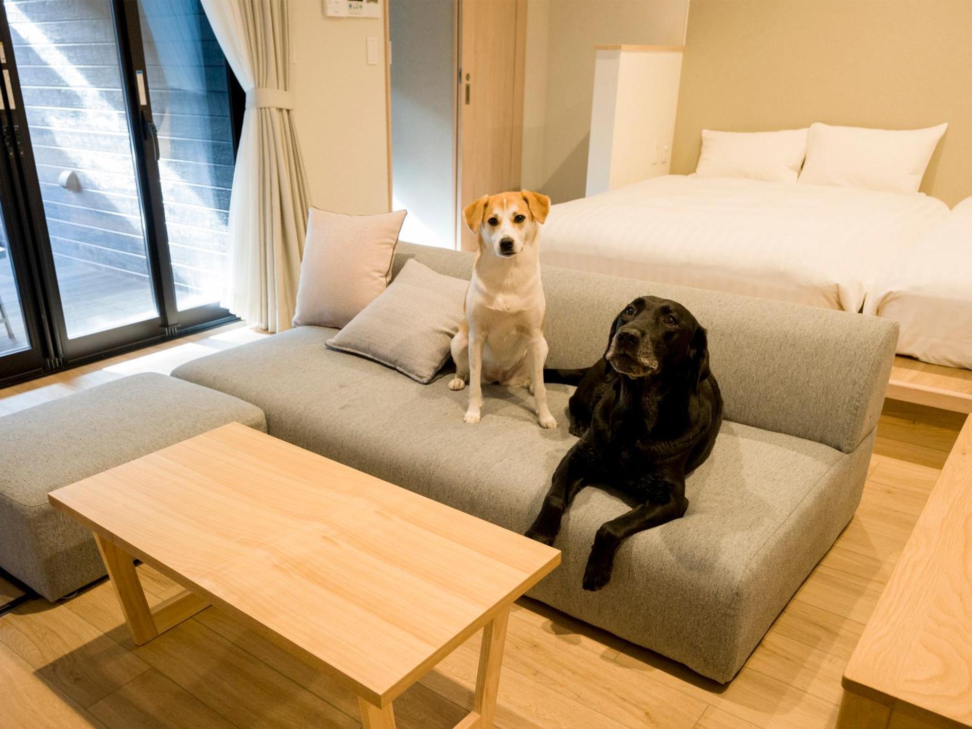 Rakuten Stay Nikko Hoden Extérieur photo